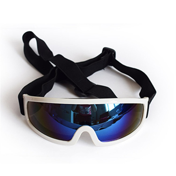 UV sunglasses for Dog